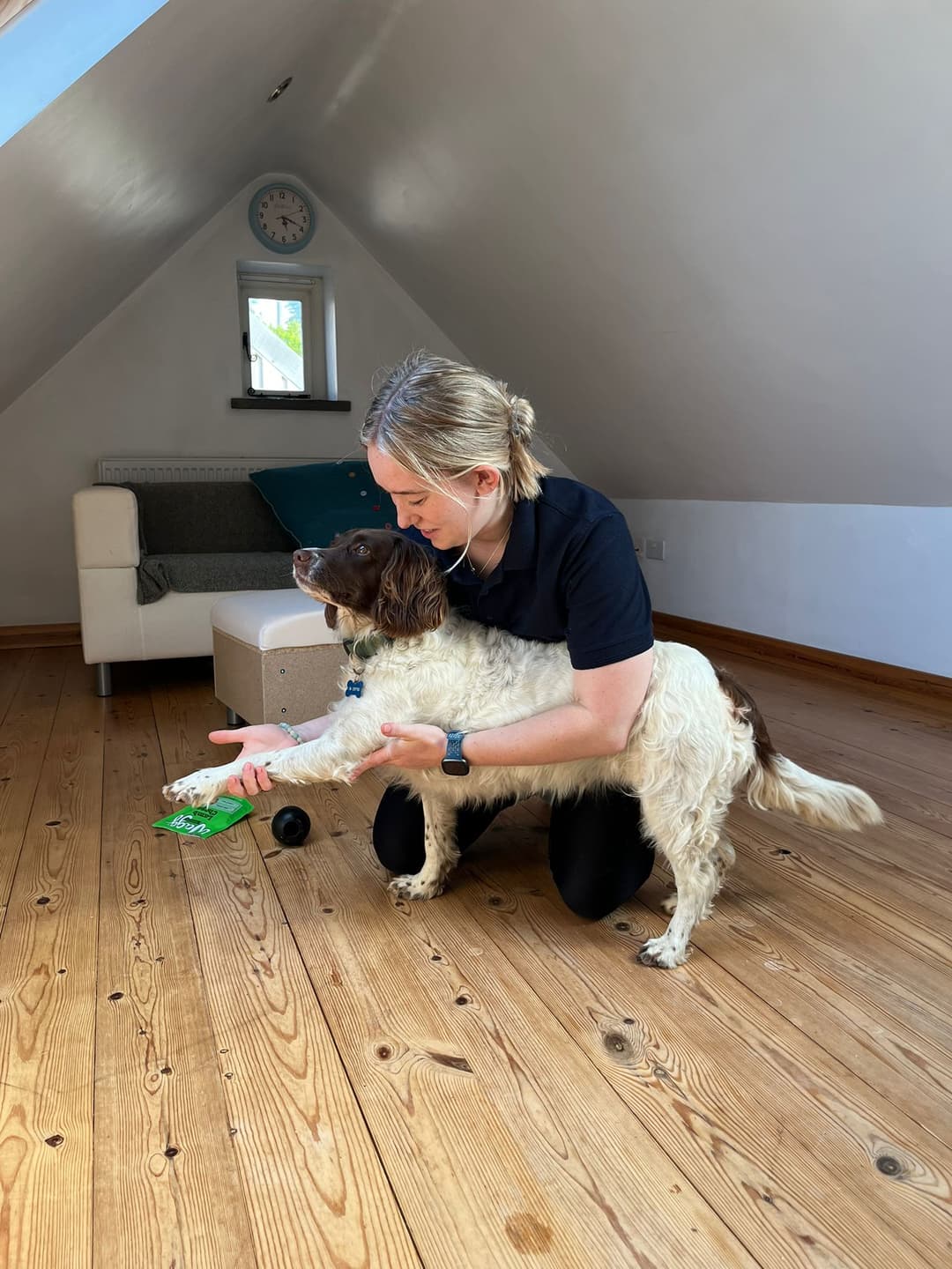 Canine Follow up Session