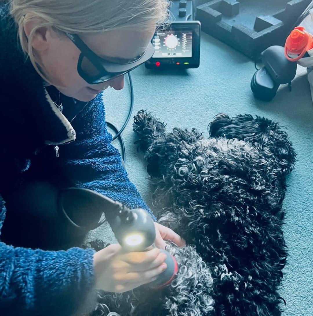 What is Veterinary Physiotherapy?